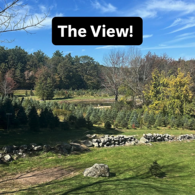 Screenshot 2025-12-09 at 2.10.21 PM